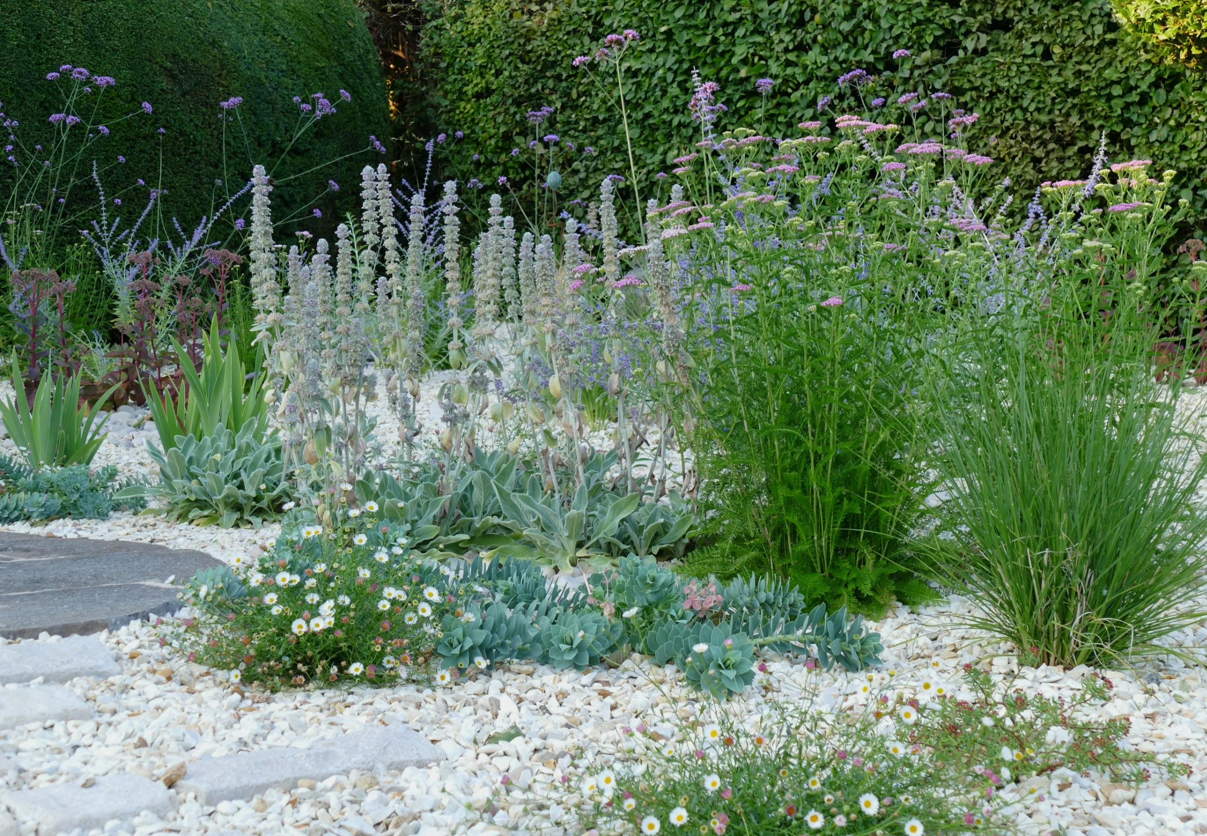 Gravel Garden Planting, North Somerset.jpg