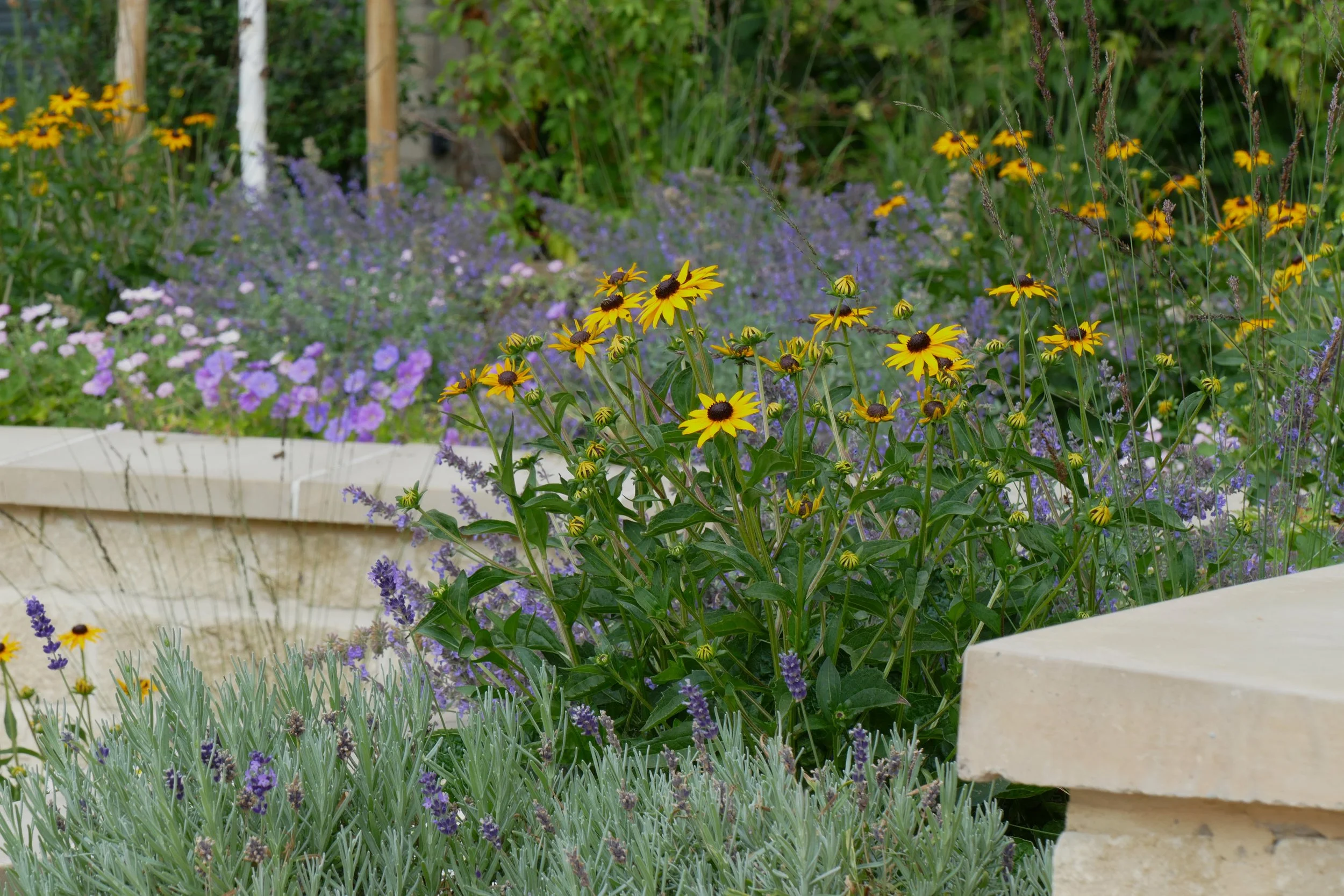 Upton Cheyney Planting, Wild Clover Garden Design.jpg