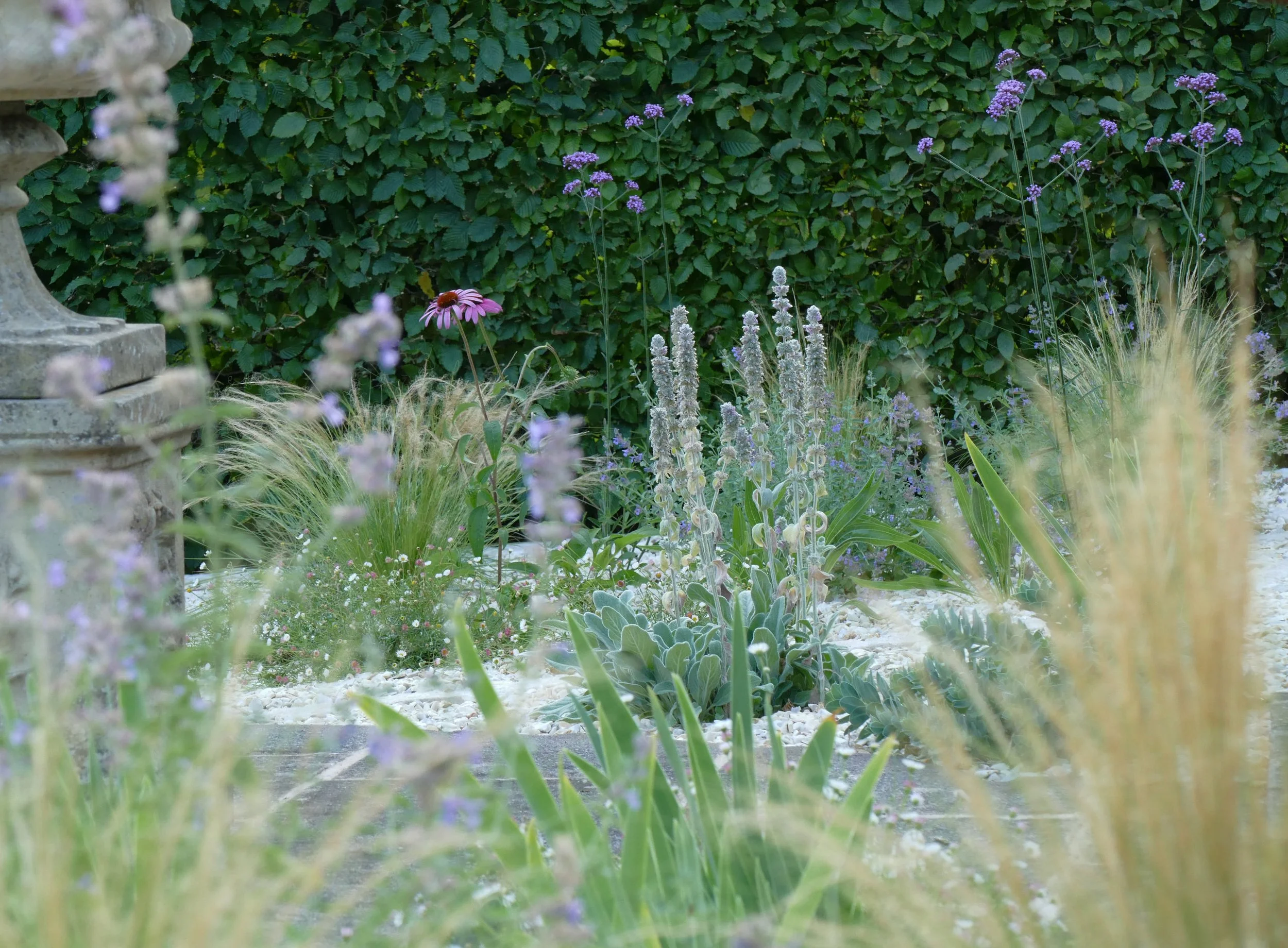 Planting, Gravel Garden, Wild Clover Garden Design.jpg