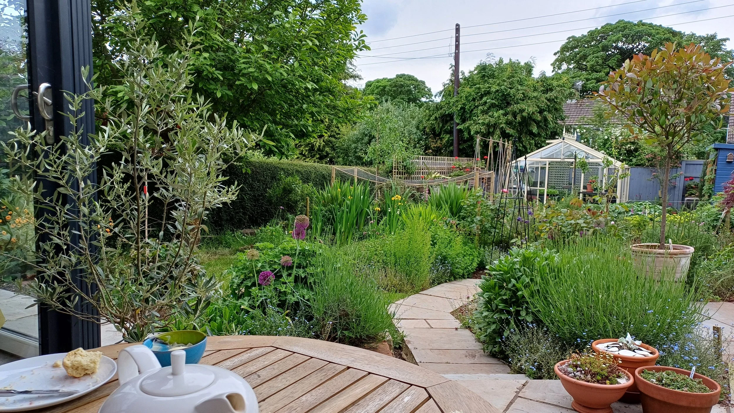 View of a lush green wildlife garden from a patio, with potted plants, a greenhouse, trees, and a cloudy sky in the background.
