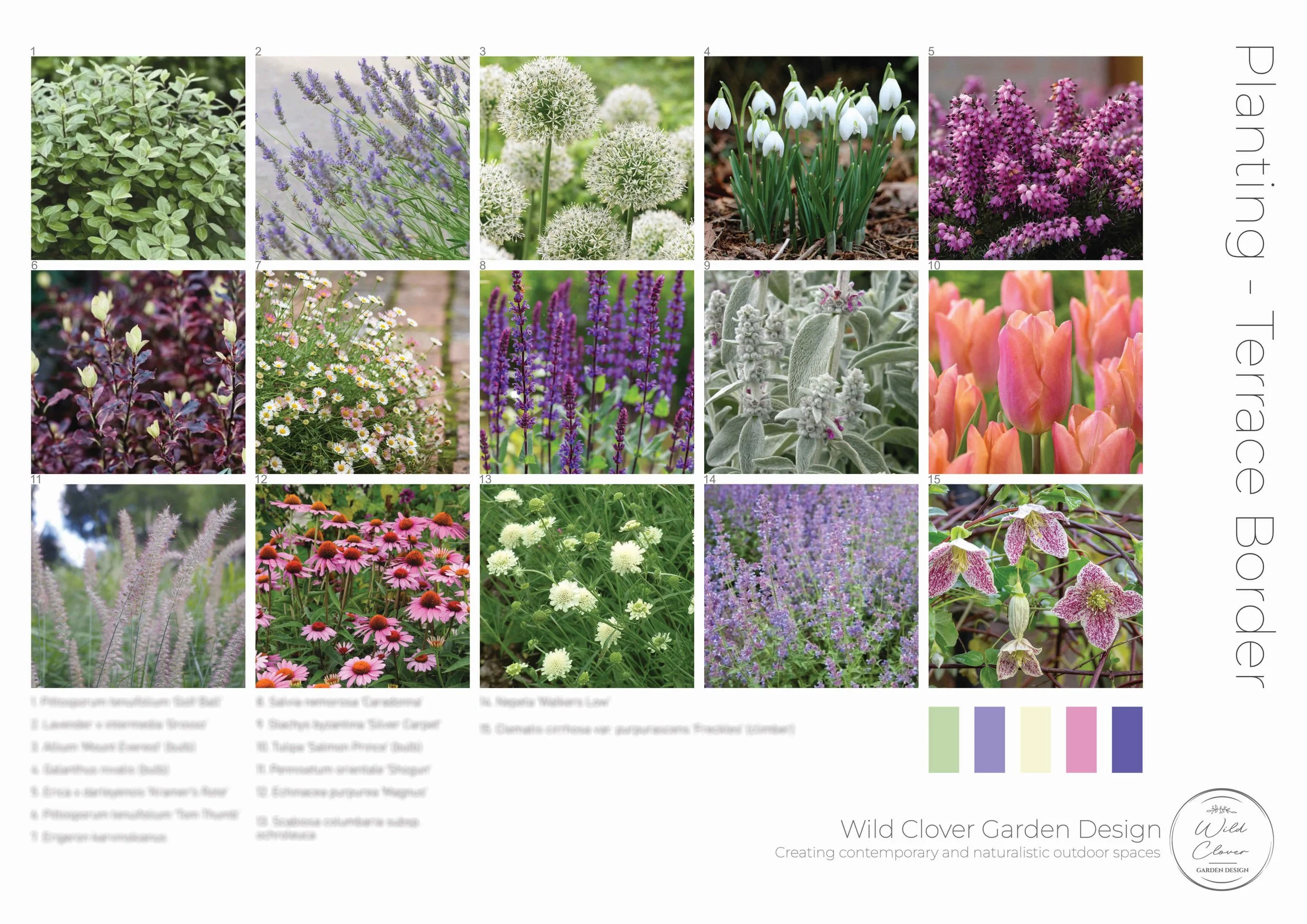 L&.S.D Planting blur.jpg