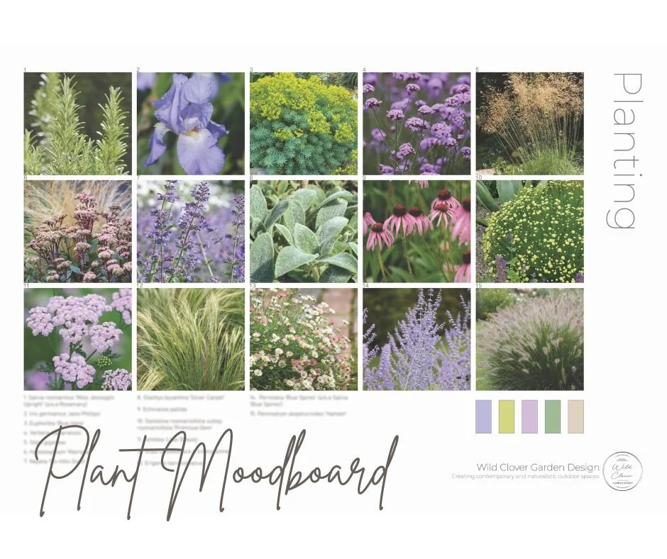 Planting Mood board Chew Valley