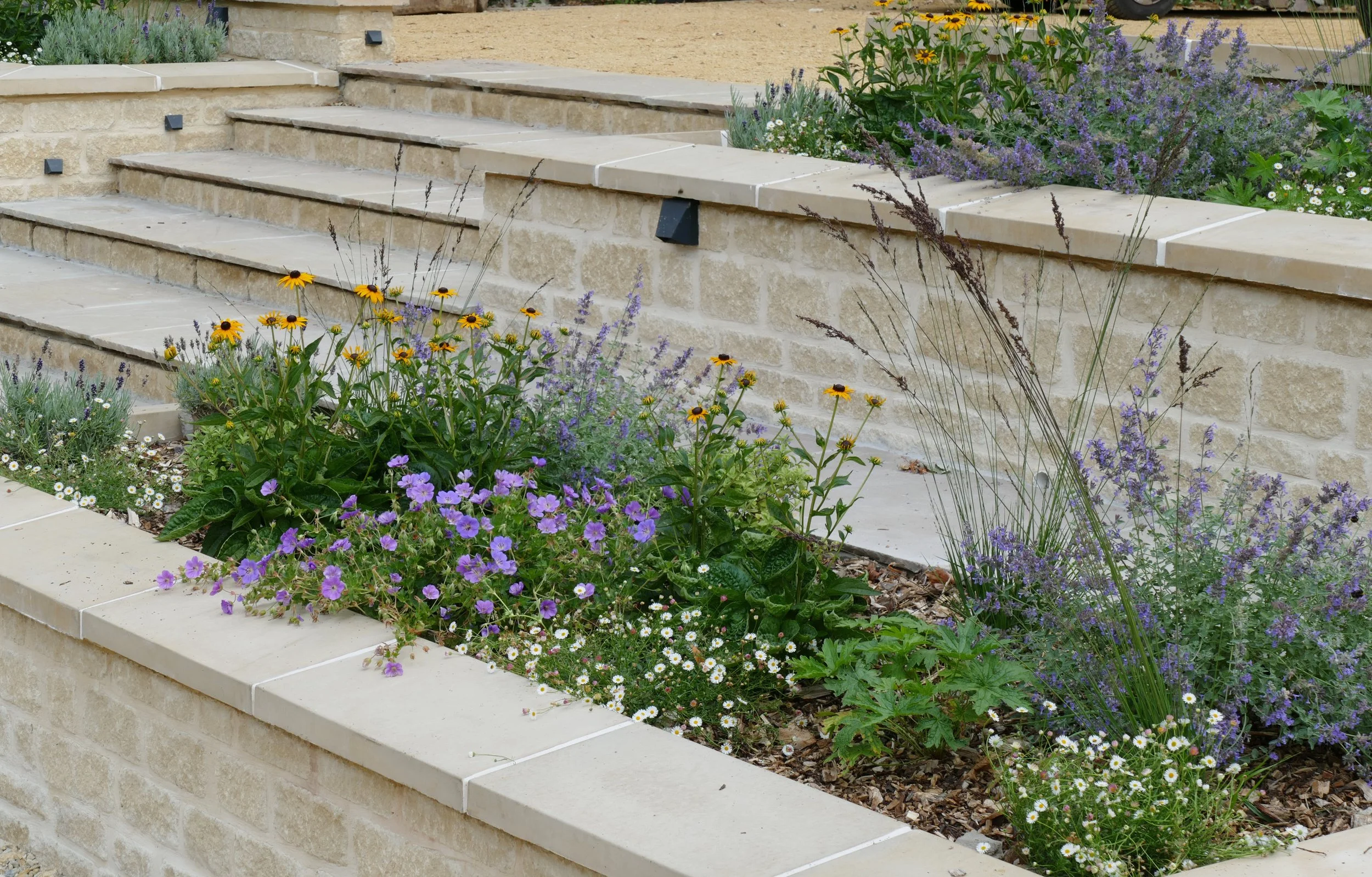 Planting Design, Wild Clover Garden Design.jpg