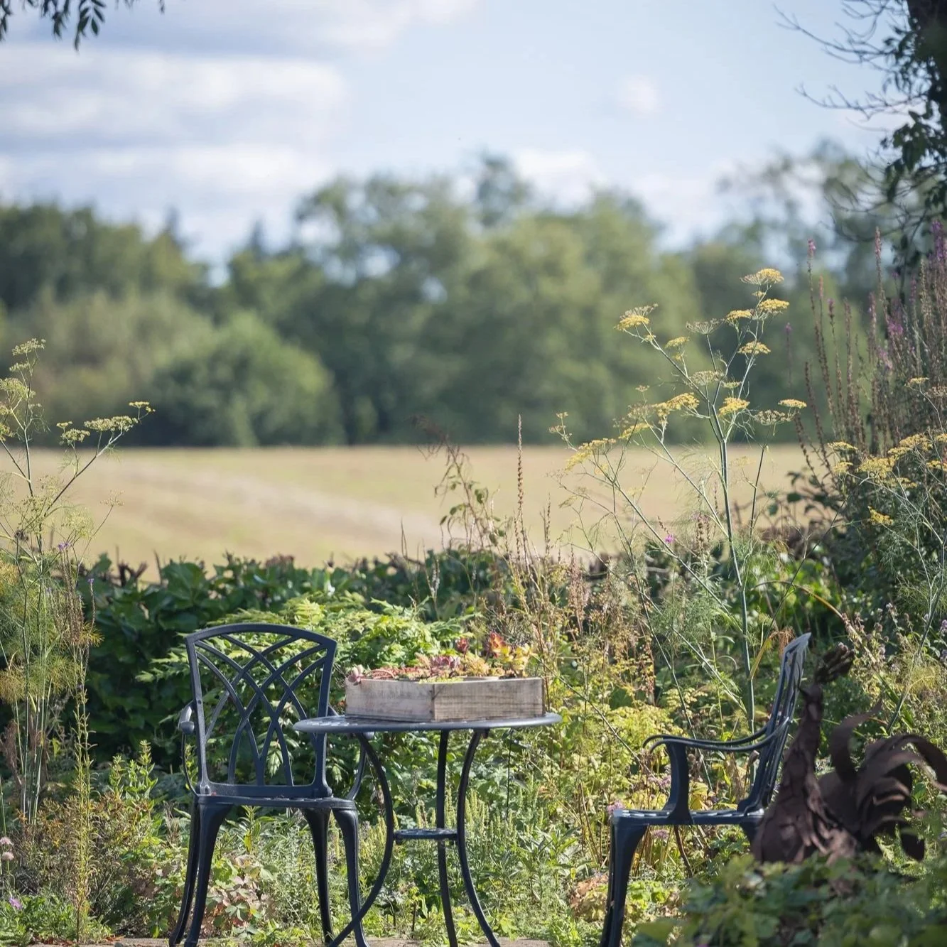 Garden Design Services Chew Valley