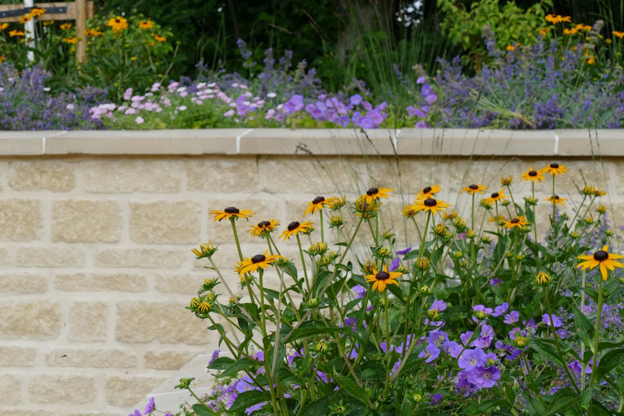 Planting Design Project, Wild Clover Garden Design.jpg