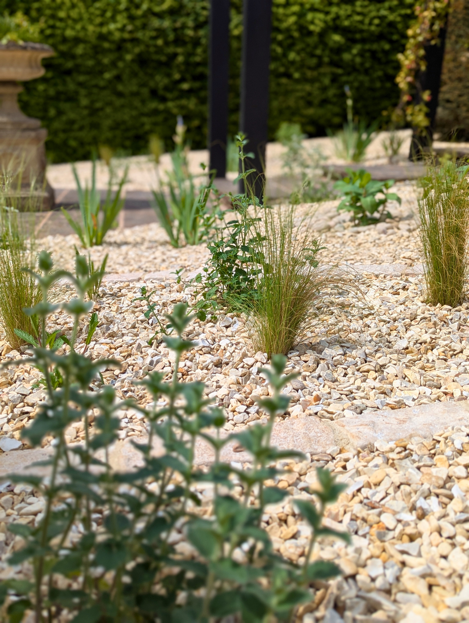 gravel garden design stowey