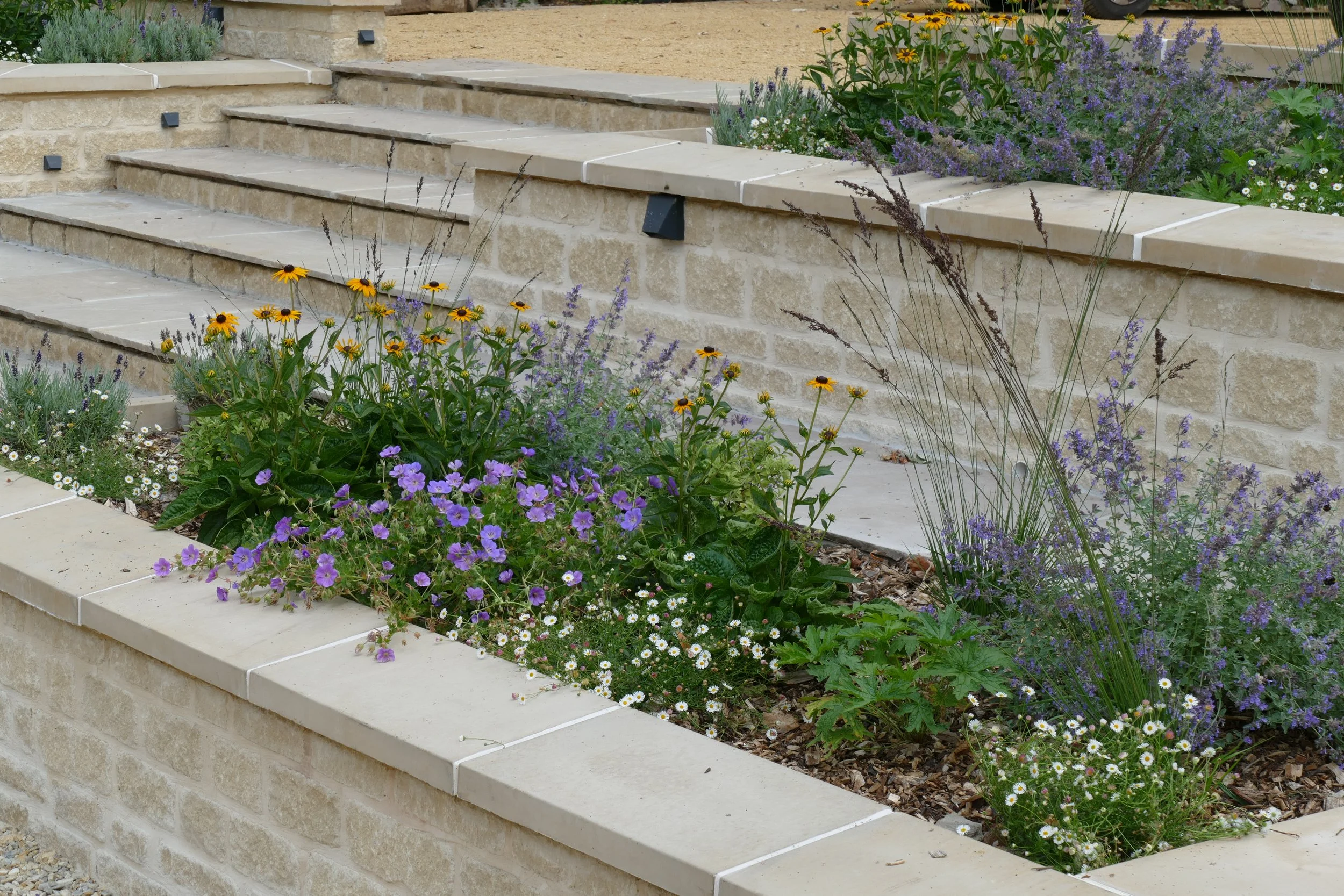 A stone staircase with landscaped flower beds on each side, featuring yellow, purple, and white flowers.