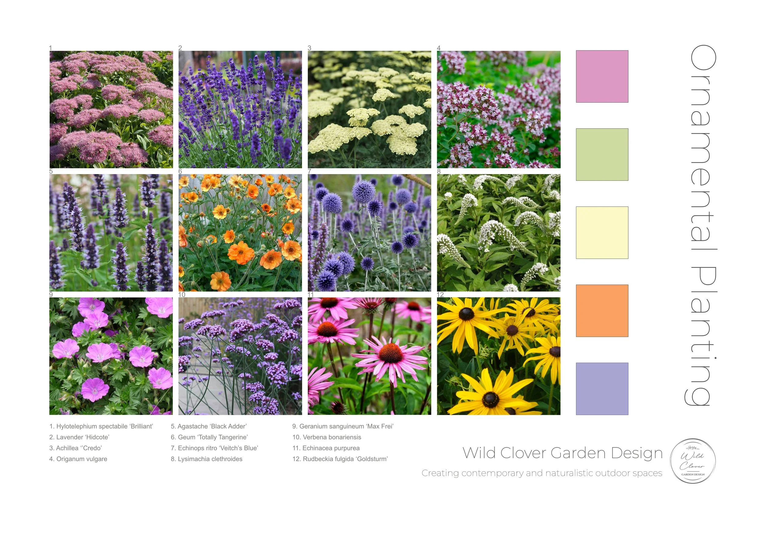 Planting Moodboard - To see how the planting and colour scheme works together