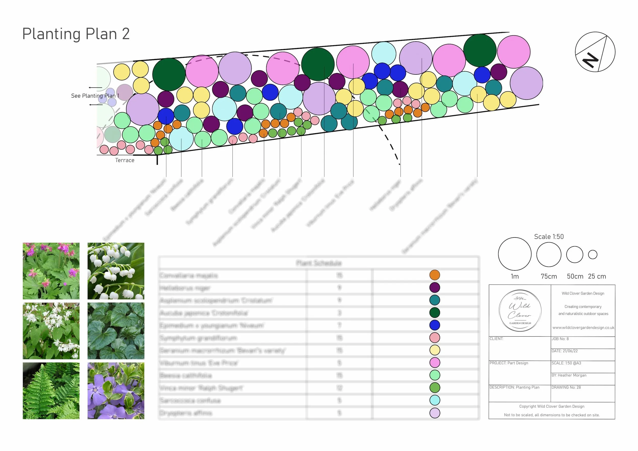 Planting Plan