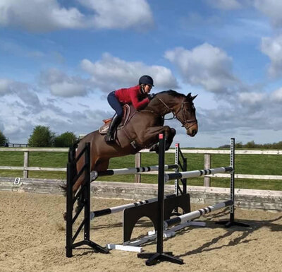 Joe-Macdonald-Showjumper-show-jumping-training-lessons-course-arena-hire-Gloucestershire-british-showjumping-coach-hooze-farm-stables-livery-outdoorarena-arenahire-outdoor-showjumping-showjumps.jpg