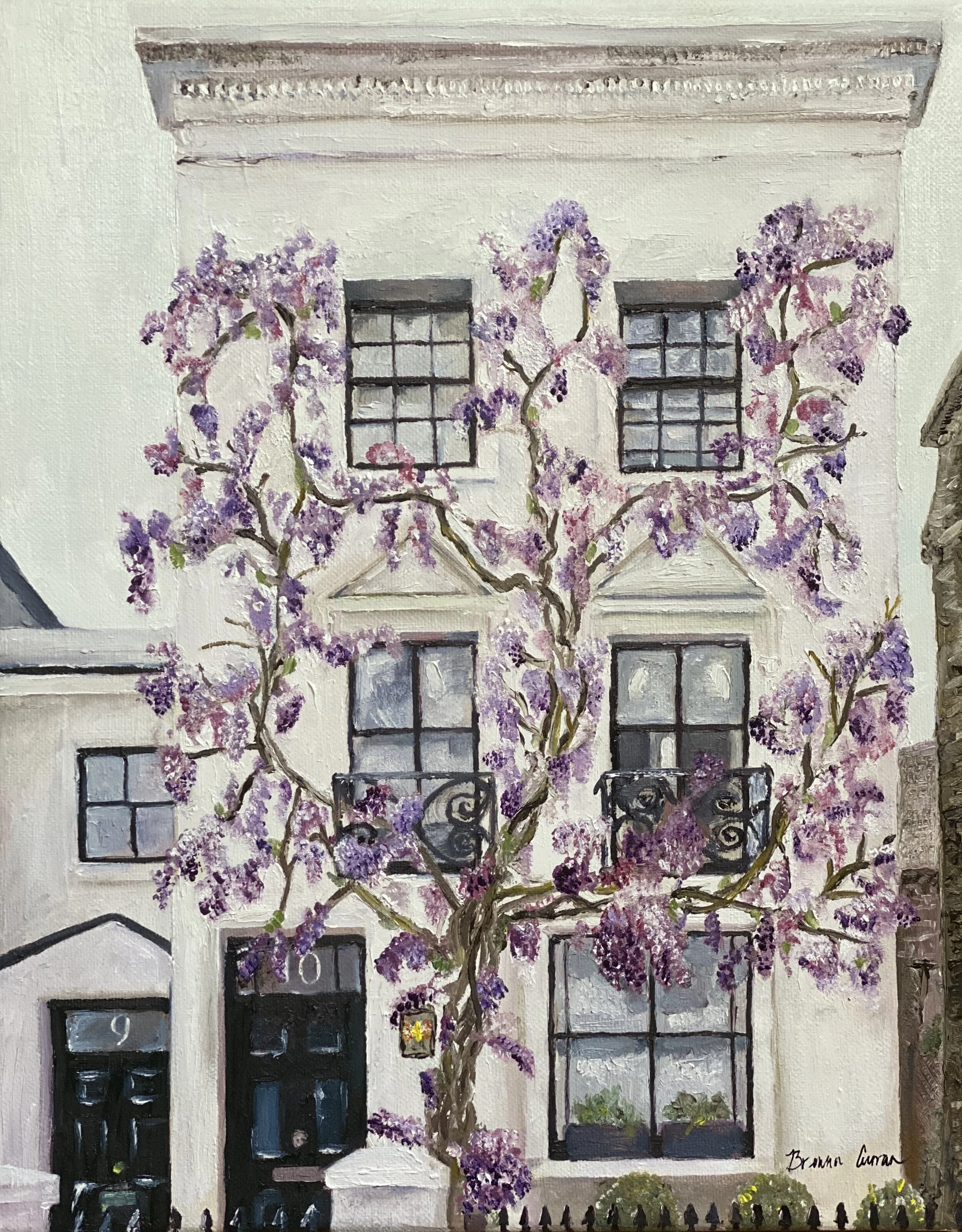 Wisteria in Kensington