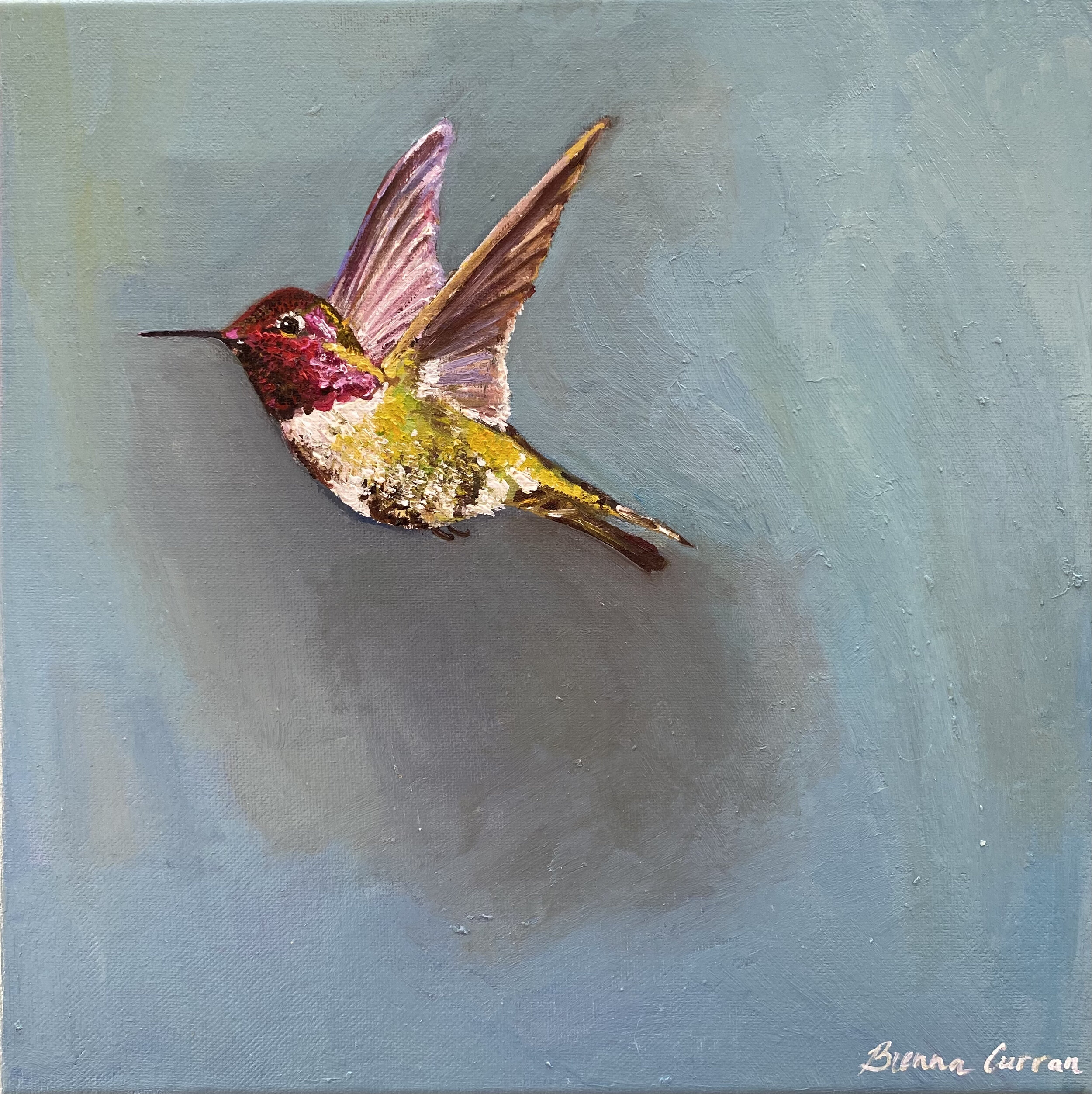 Hummingbird