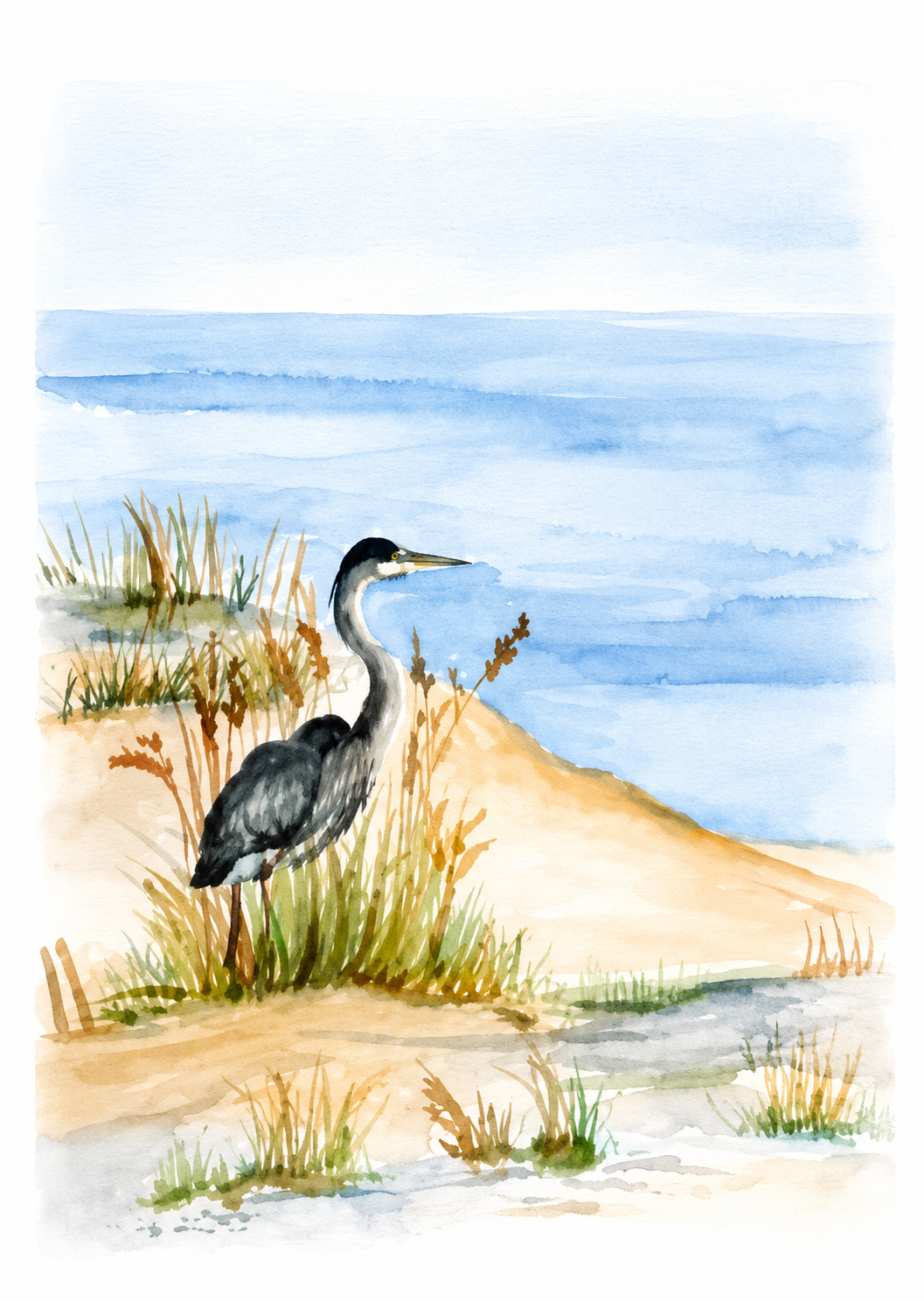 Shore Bird_Lisa.png
