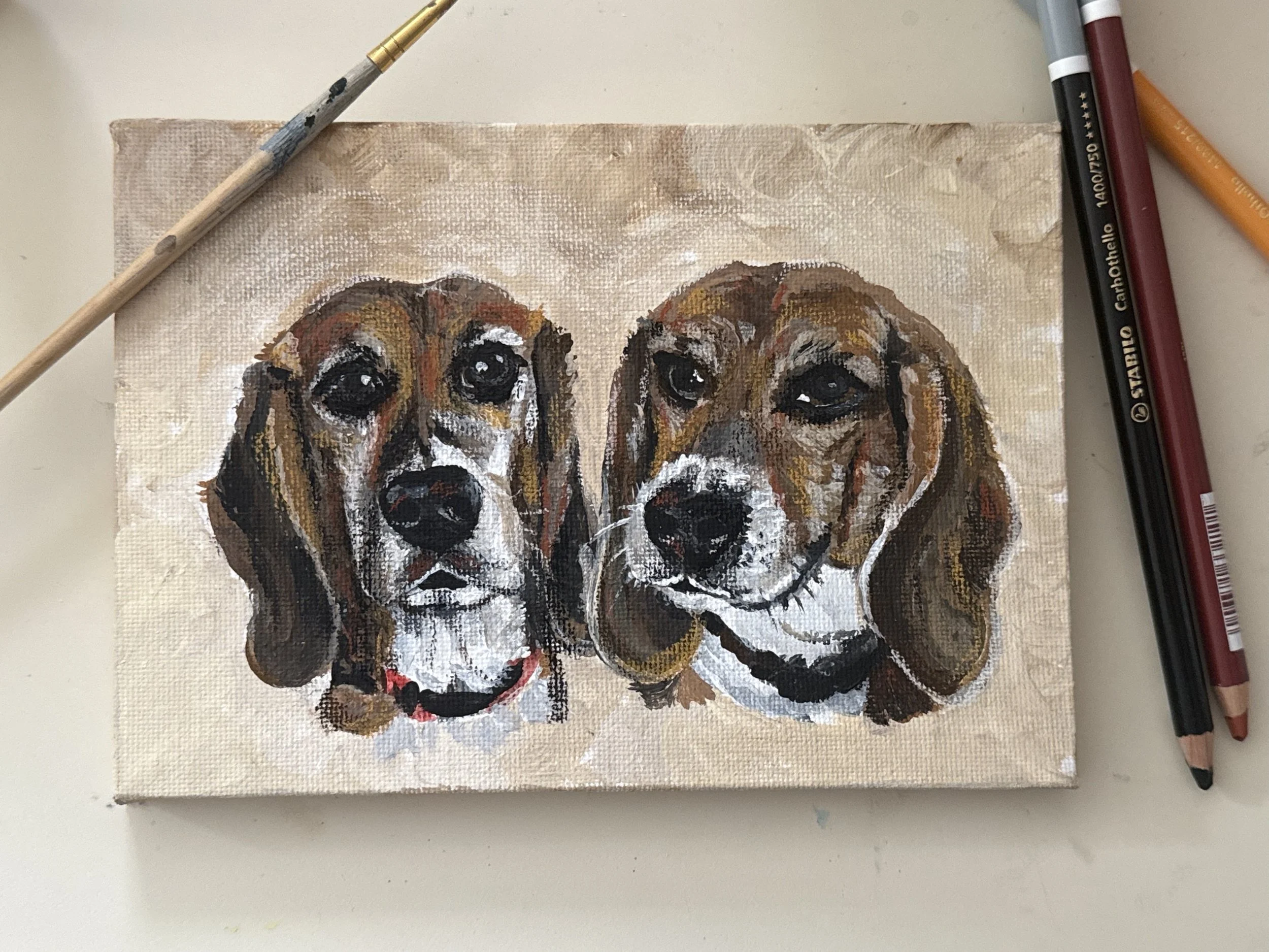 Beagles.jpg
