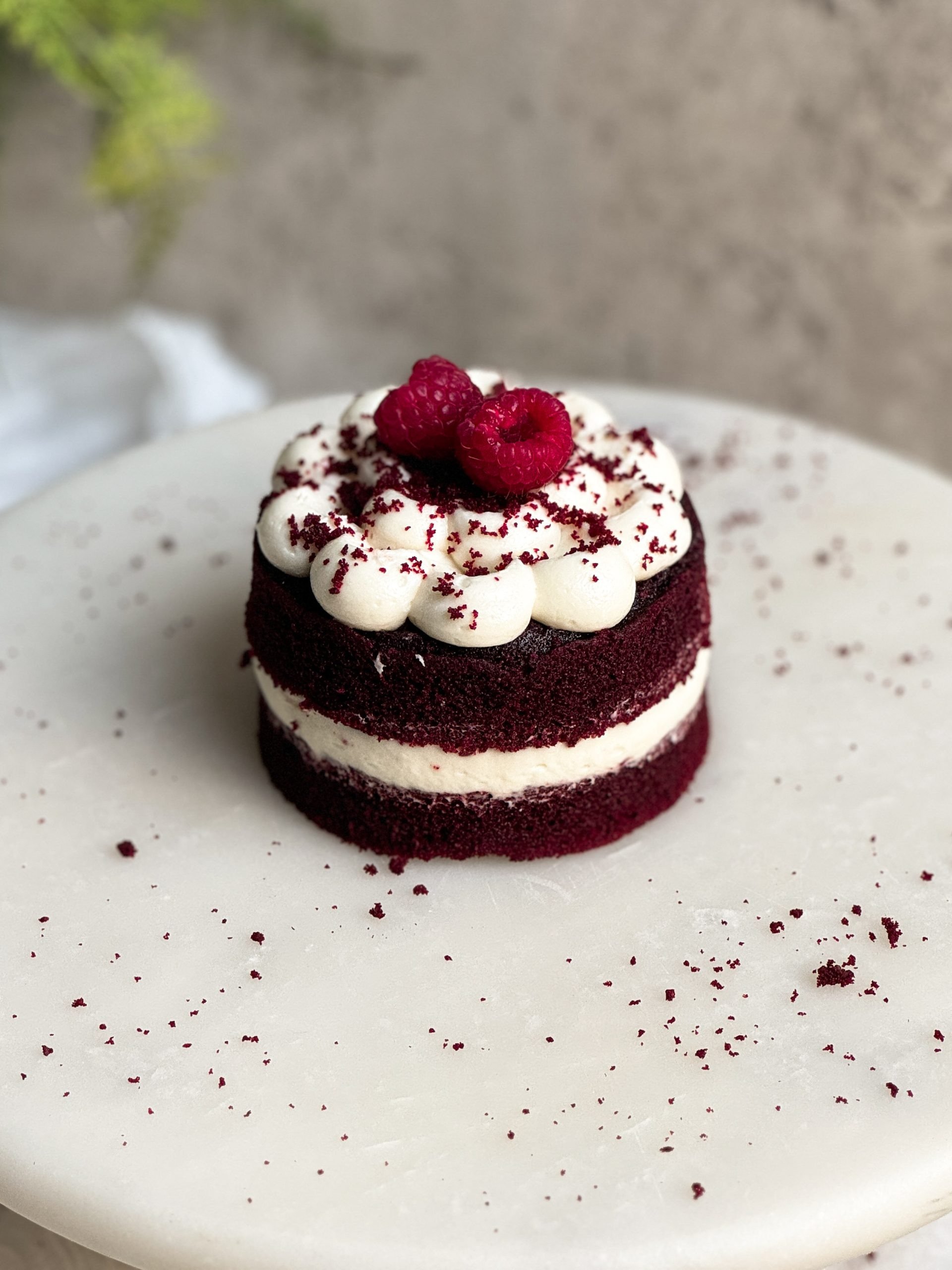 single-serve-red-velvet-cake-5-s.jpg