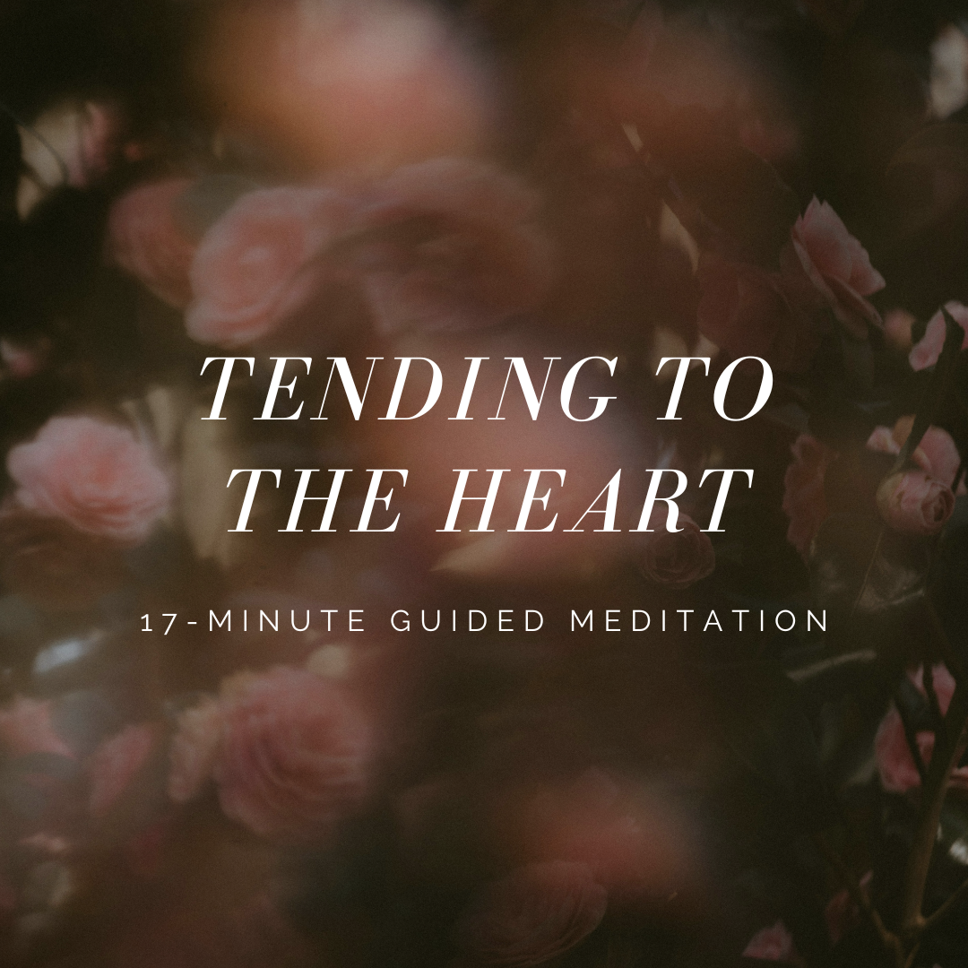 Tending to the Heart: 17-Minute Guided Meditation