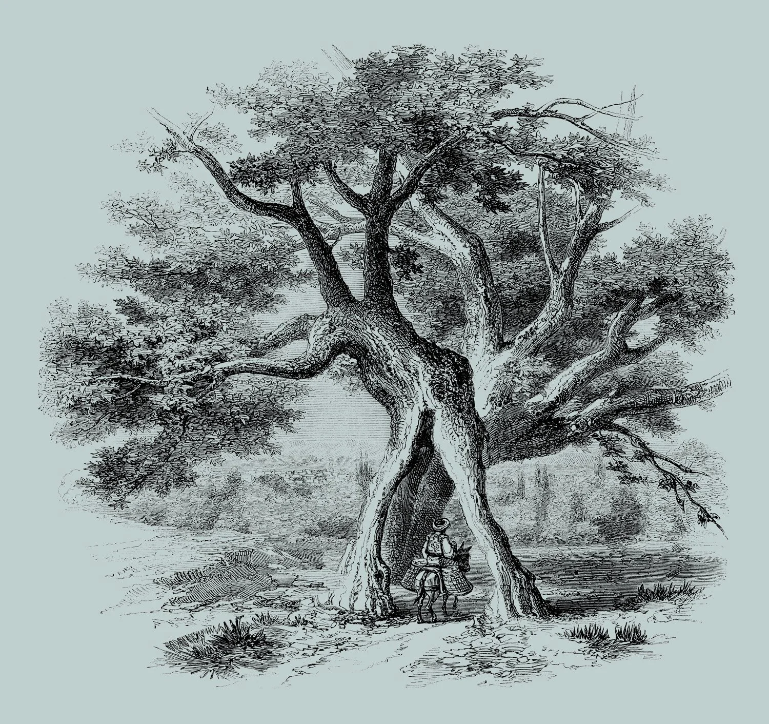 The primitive hut redux.