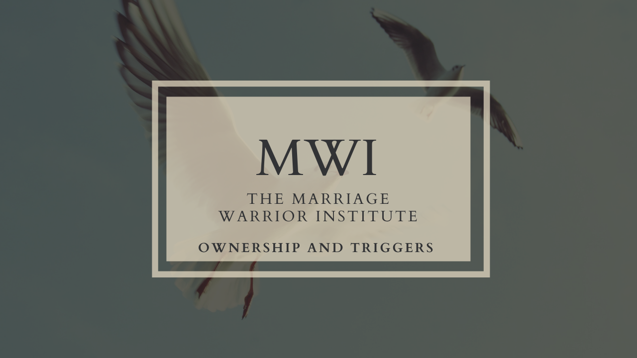 Video 2: Ownership and Triggers