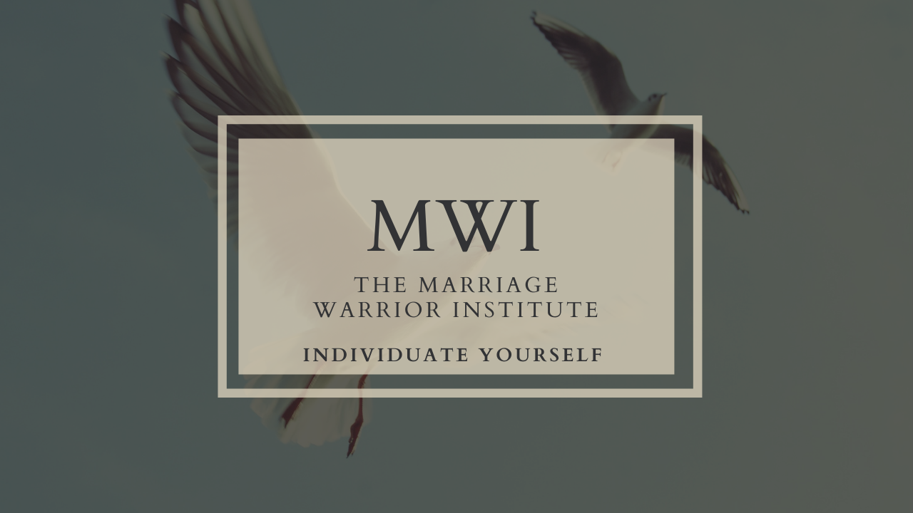 Video 4: Individuate Yourself-PIES.