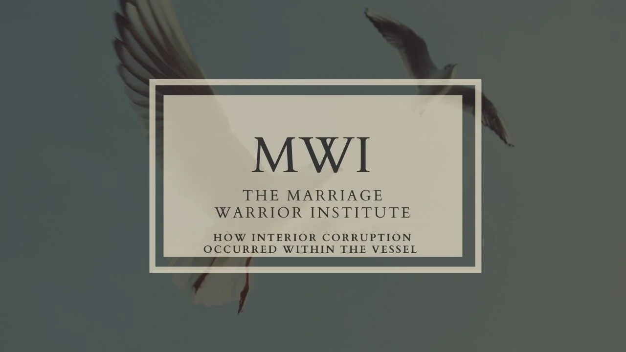 Video 5: How Interior Corruption Occurred within the vessel