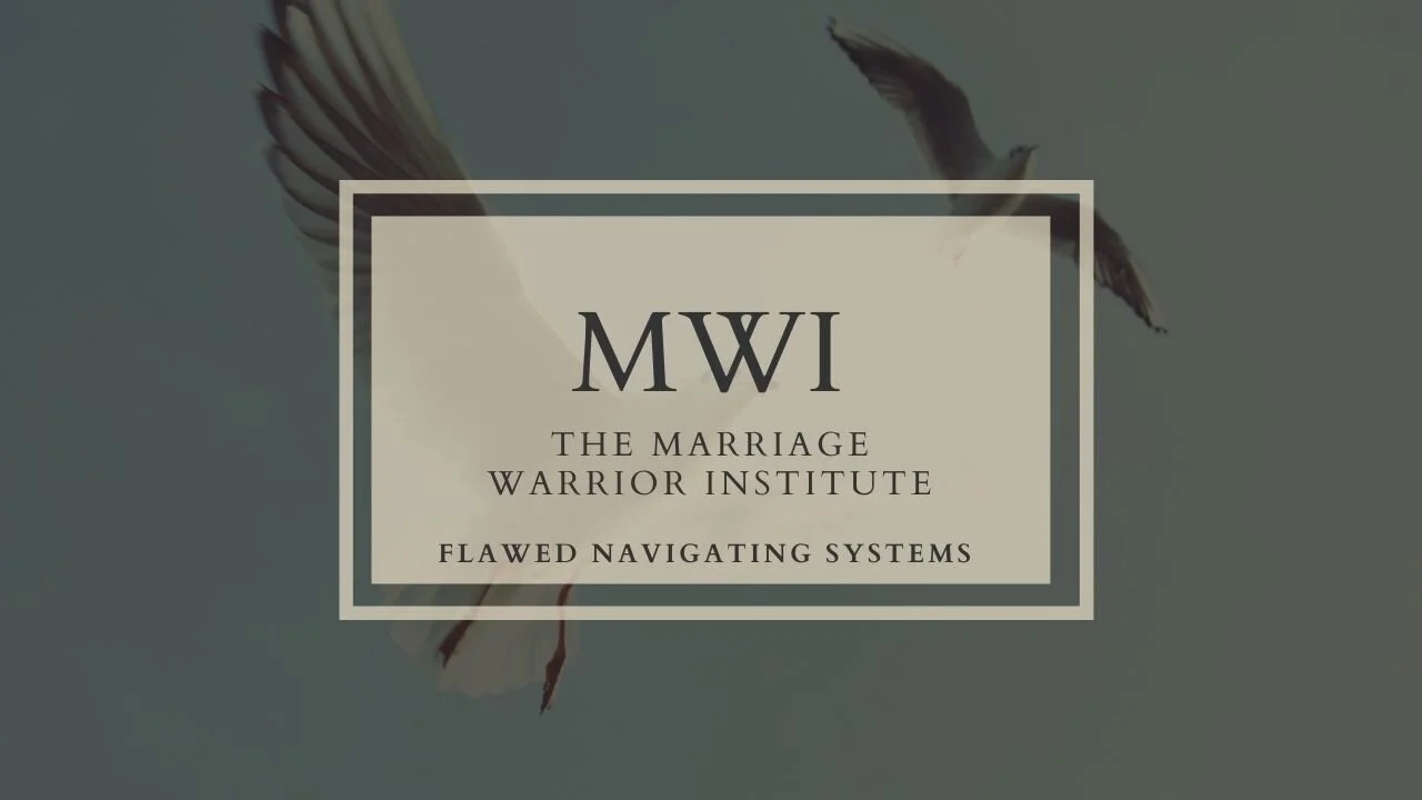 Video 2: Flawed Navigating Systems