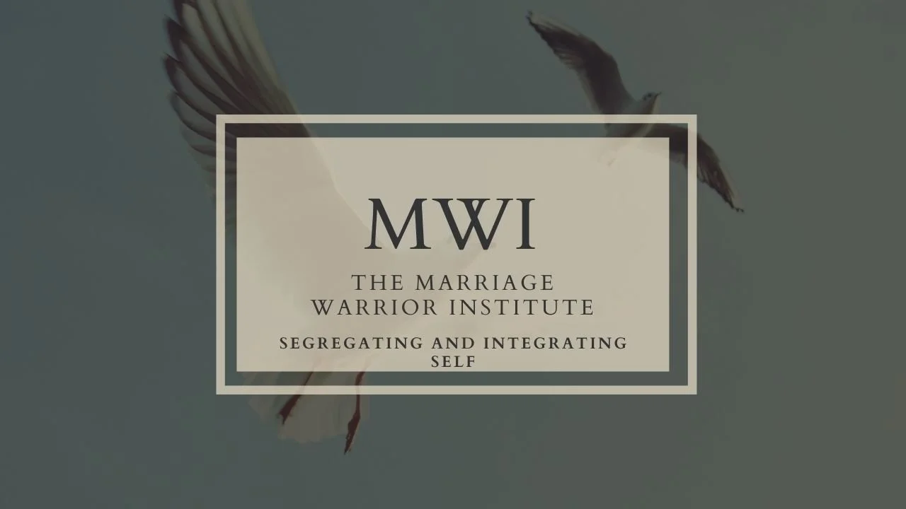 Video 6: Segregating and Integrating Self