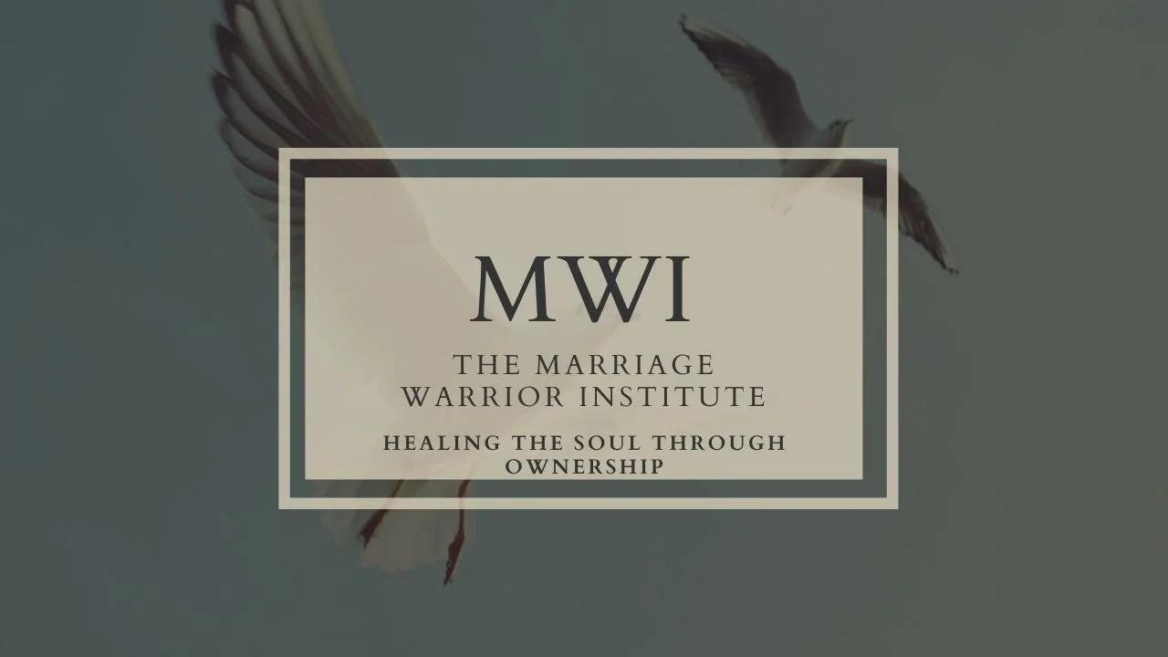 Video 8: Healing the Soul through Ownership