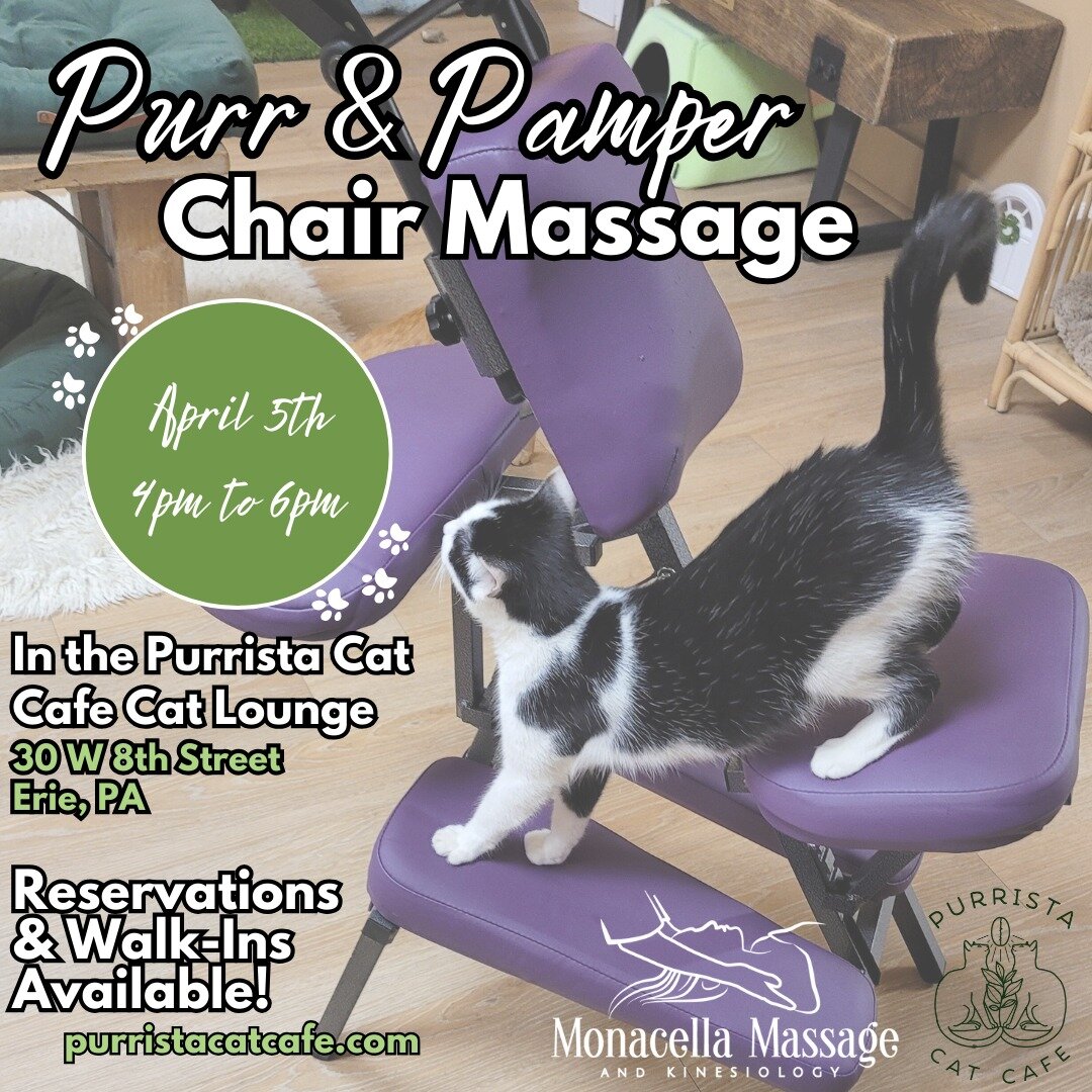 Back again with the cutest cats!

Our LMTs Tammy Moon and Abigayle Parry will be back at Purrista Cat Cafe on Friday April 5th from 4-6PM! 🥰😸 Stop in to cuddle some cats and get a chair massage!