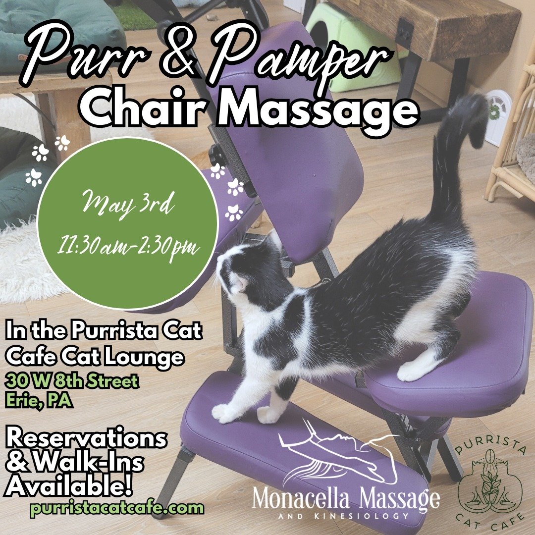 Feline Friday😸

Reminder that Tammy Moon LMT will be at @Purrista Cat Cafe from 11:30AM to 2:30PM on Friday, May 3rd! Stop by or reserve a spot at www.purristacatcafe.com/reservations💆😻