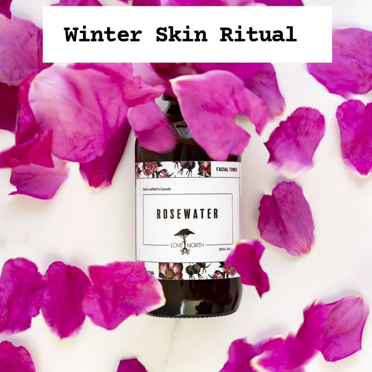 WINTER SKINCARE RITUAL ✨
Winter Skin Care
for hydration, calm &amp; glow

❄️🌿
Your skin will thank you later

STEP 1: MIST 💧
Rosewater Facial Mist

&bull; Refreshes + hydrates
&bull; Calms redness
&bull; Preps skin for serums

✨ Mist morning &amp; 