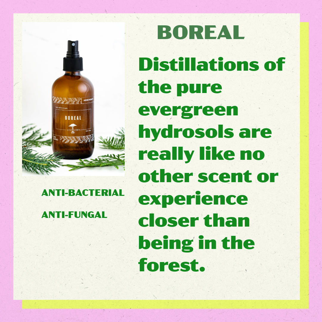 spring reset insta post carousel-3.png