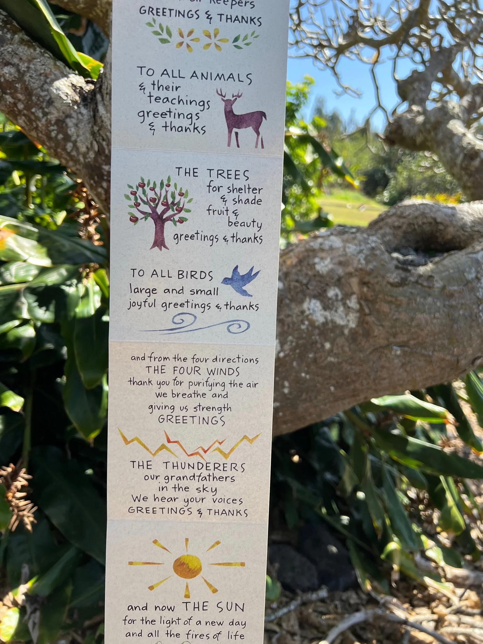 8F88D7D0-5D6F-47AC-9819-1B6CF5238778