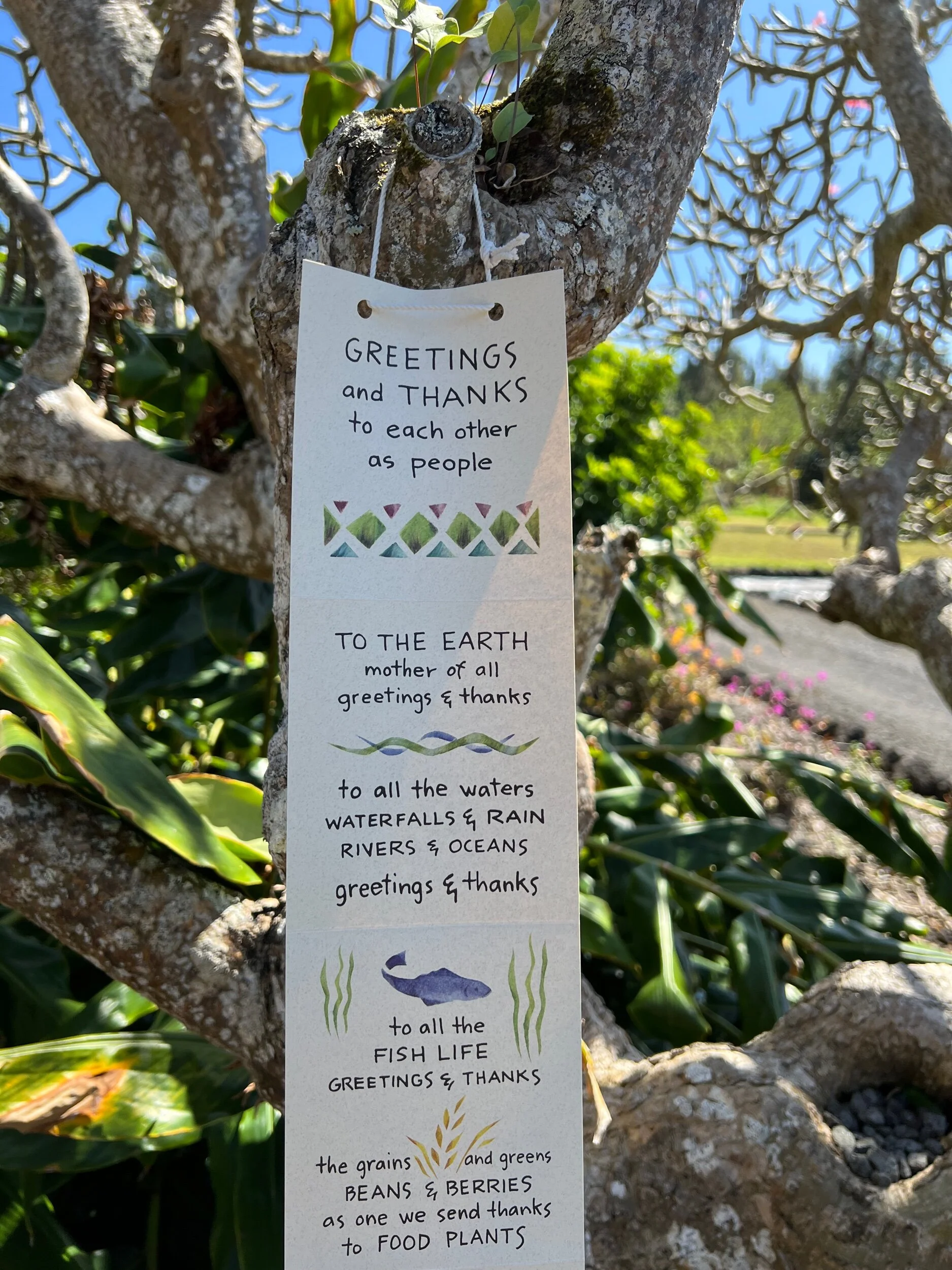 062F32D9-5C95-4966-A13F-5BAC0D59F3BE