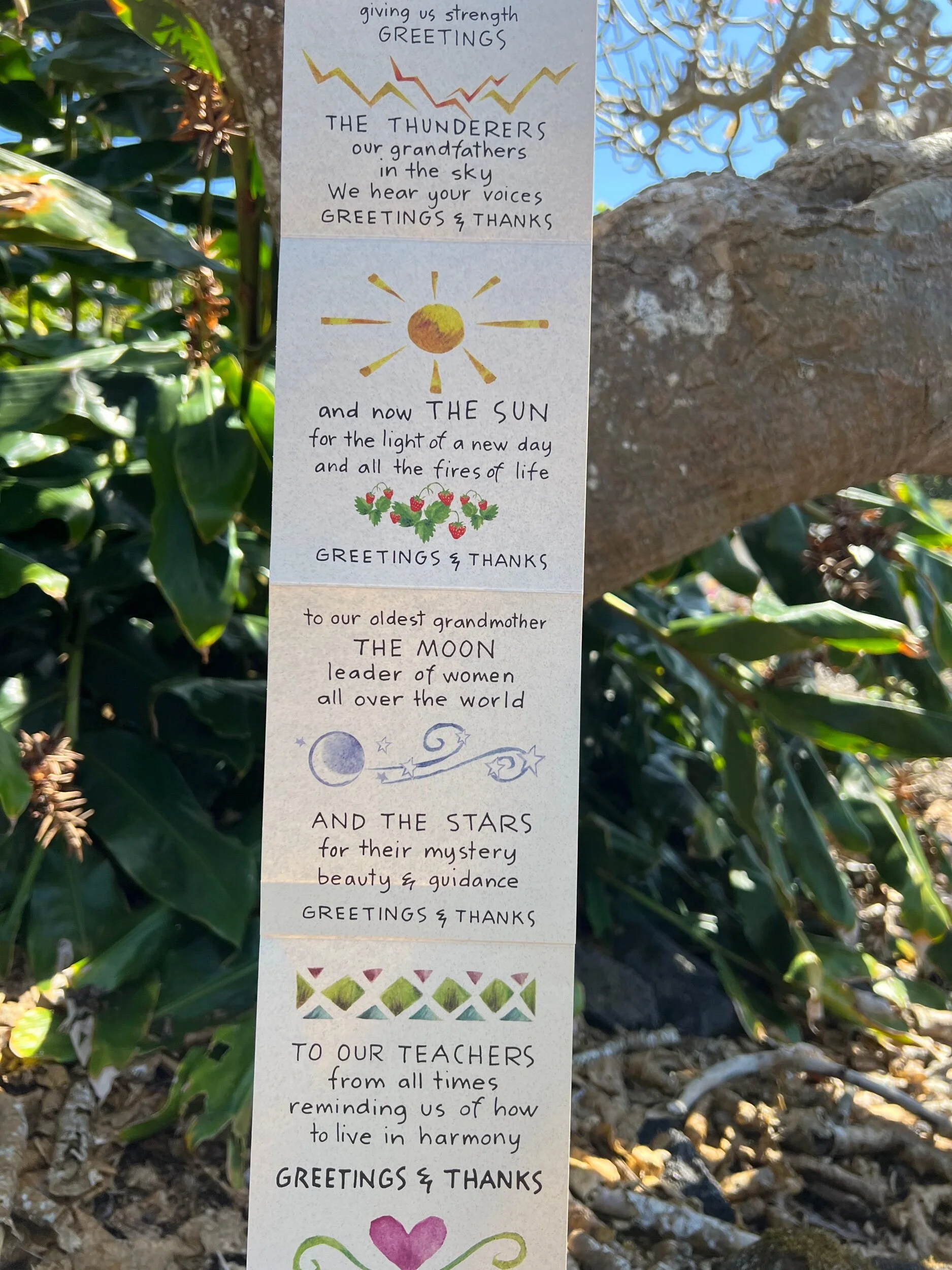 E9F5A386-E506-4F3C-8BFE-D46667C2934F