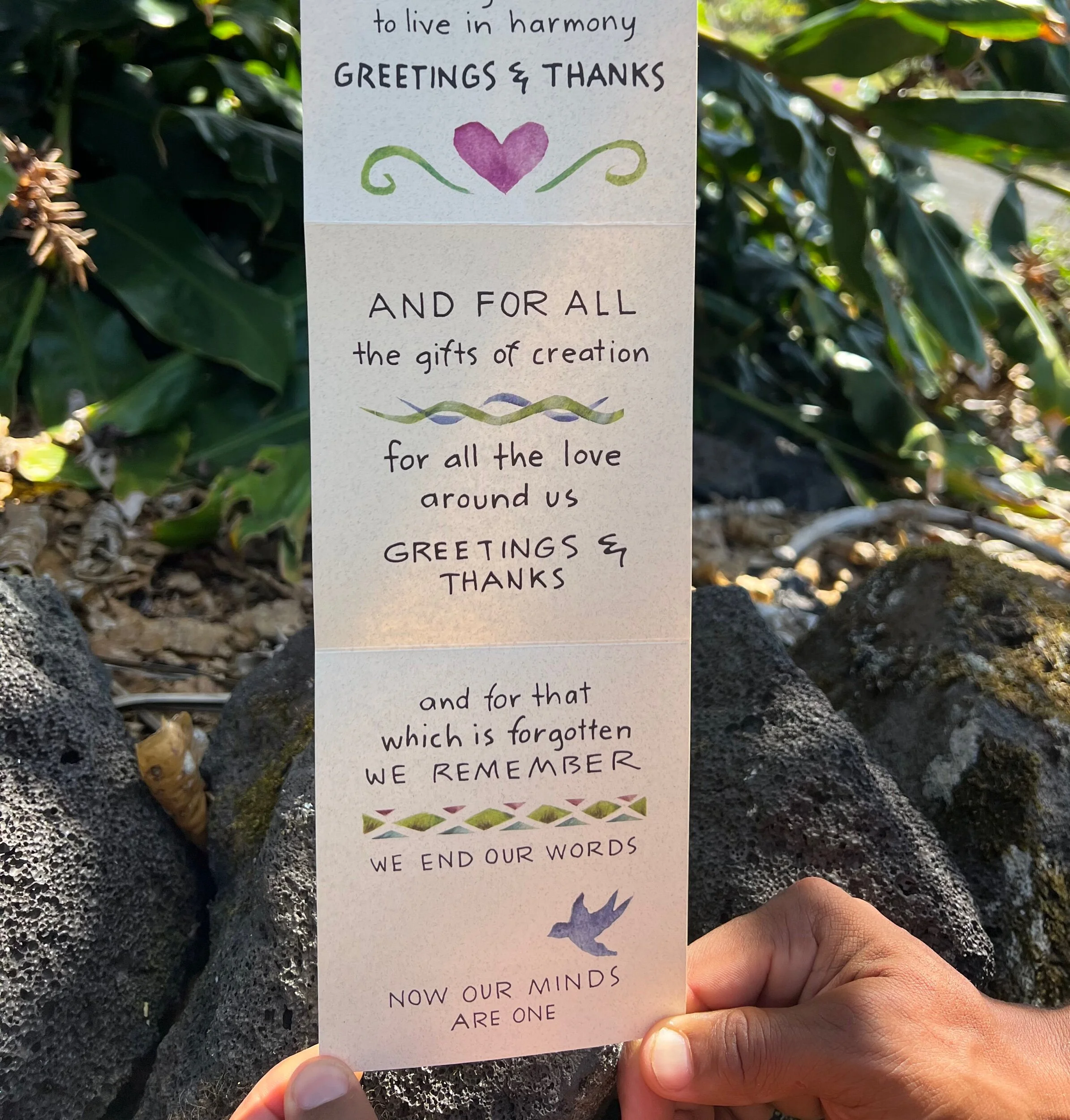 504EFB7B-A4B2-46FB-95E5-D6D6EC818D39