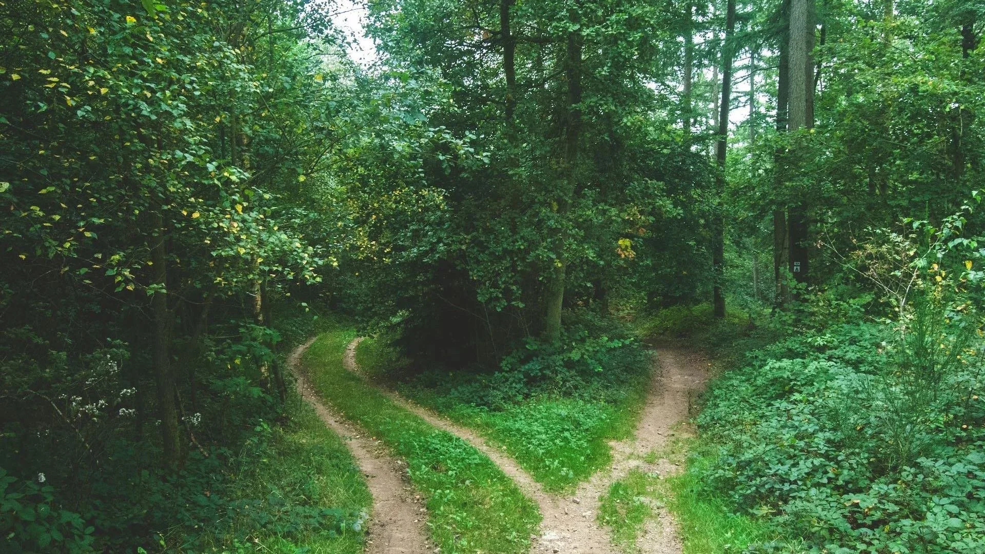 The Path to Recovery: Understanding the Ups and Downs of Addiction Treatment