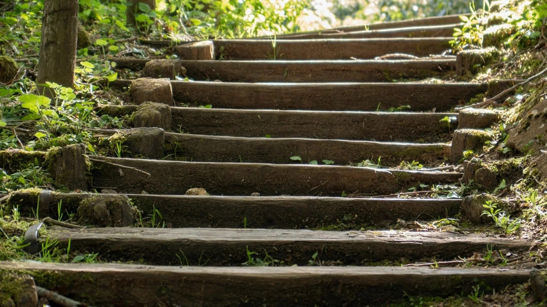 Incentivized Recovery: Best Practices in Contingency Management for Stimulant Use Disorder