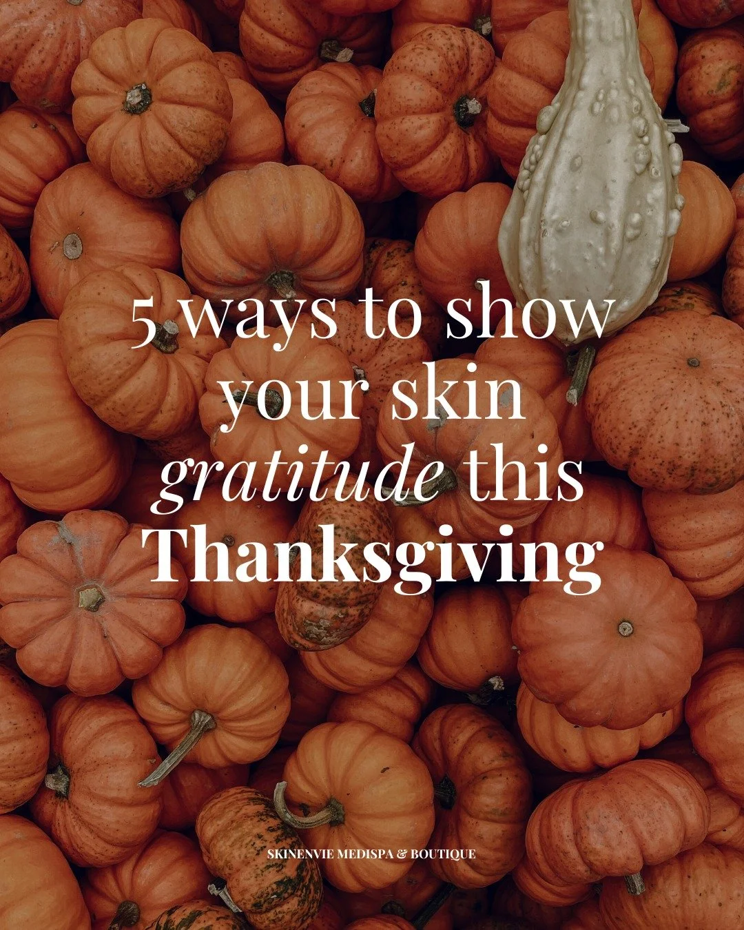Reconnaissance, communaut&eacute; et peau &eacute;clatante&hellip; voil&agrave; ce qui nous tient &agrave; c&oelig;ur. Merci de faire partie de la famille SkinEnvie. Joyeuse Action de gr&acirc;ce! 🤍

Gratitude, community, and glowing skin&hellip; th