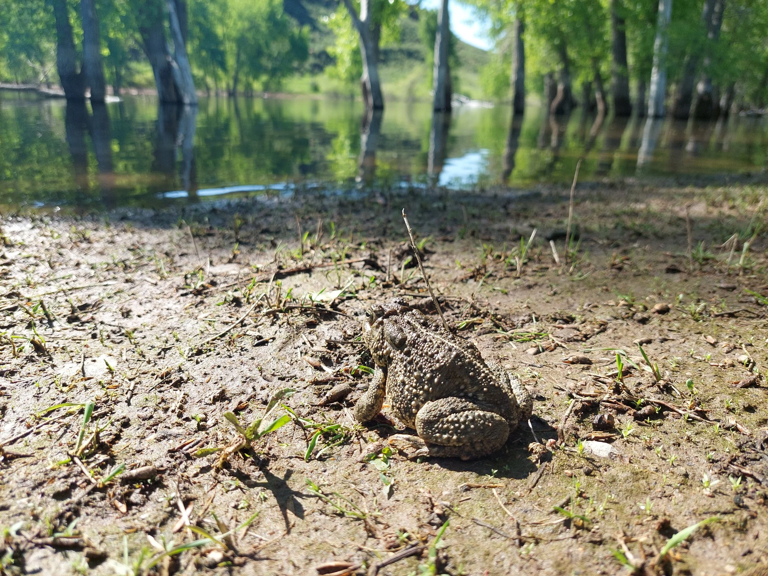 BIOBLITZ at Lory State Park