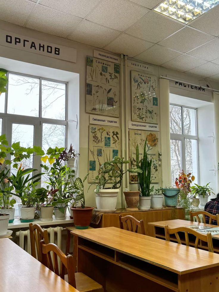 classroom inspo 3.png