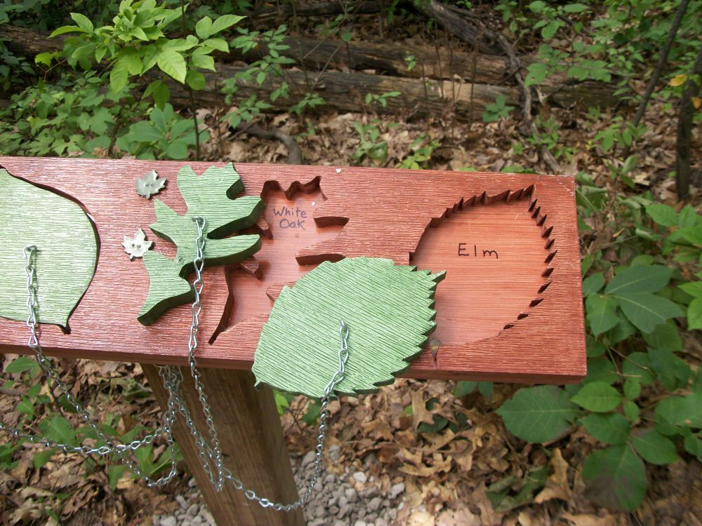 classroom inspo 2.png