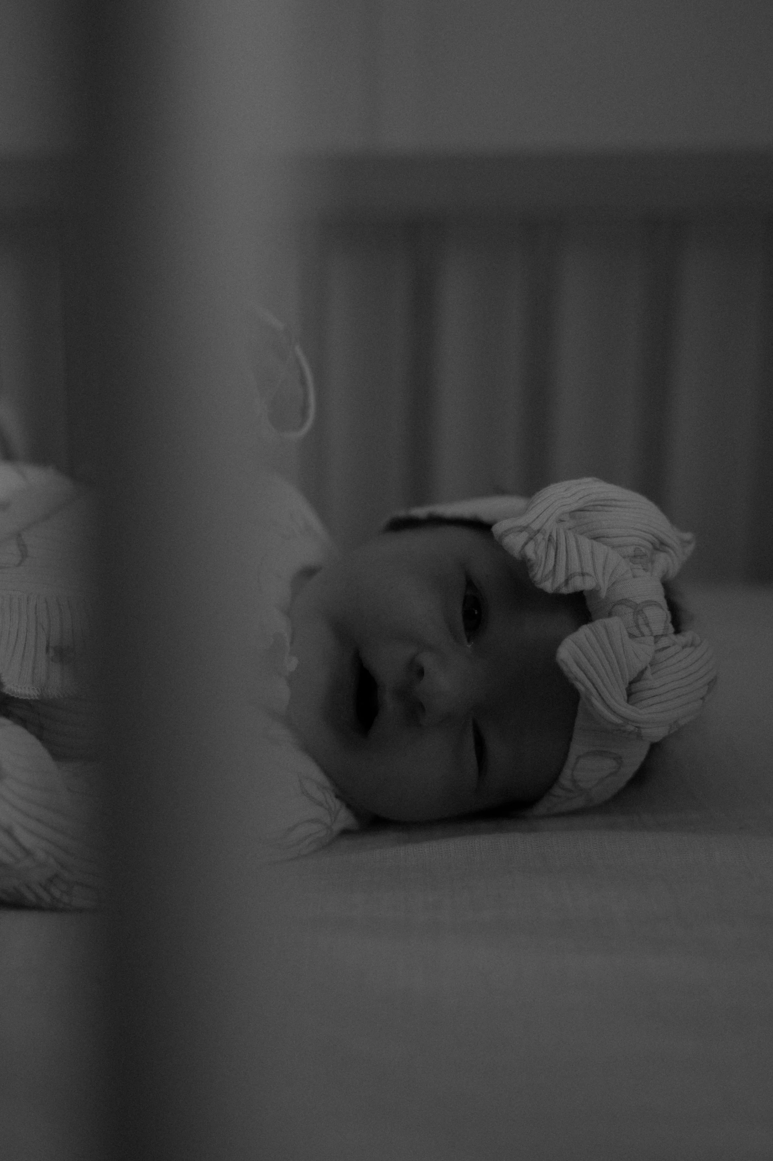 DSC_2553.jpeg