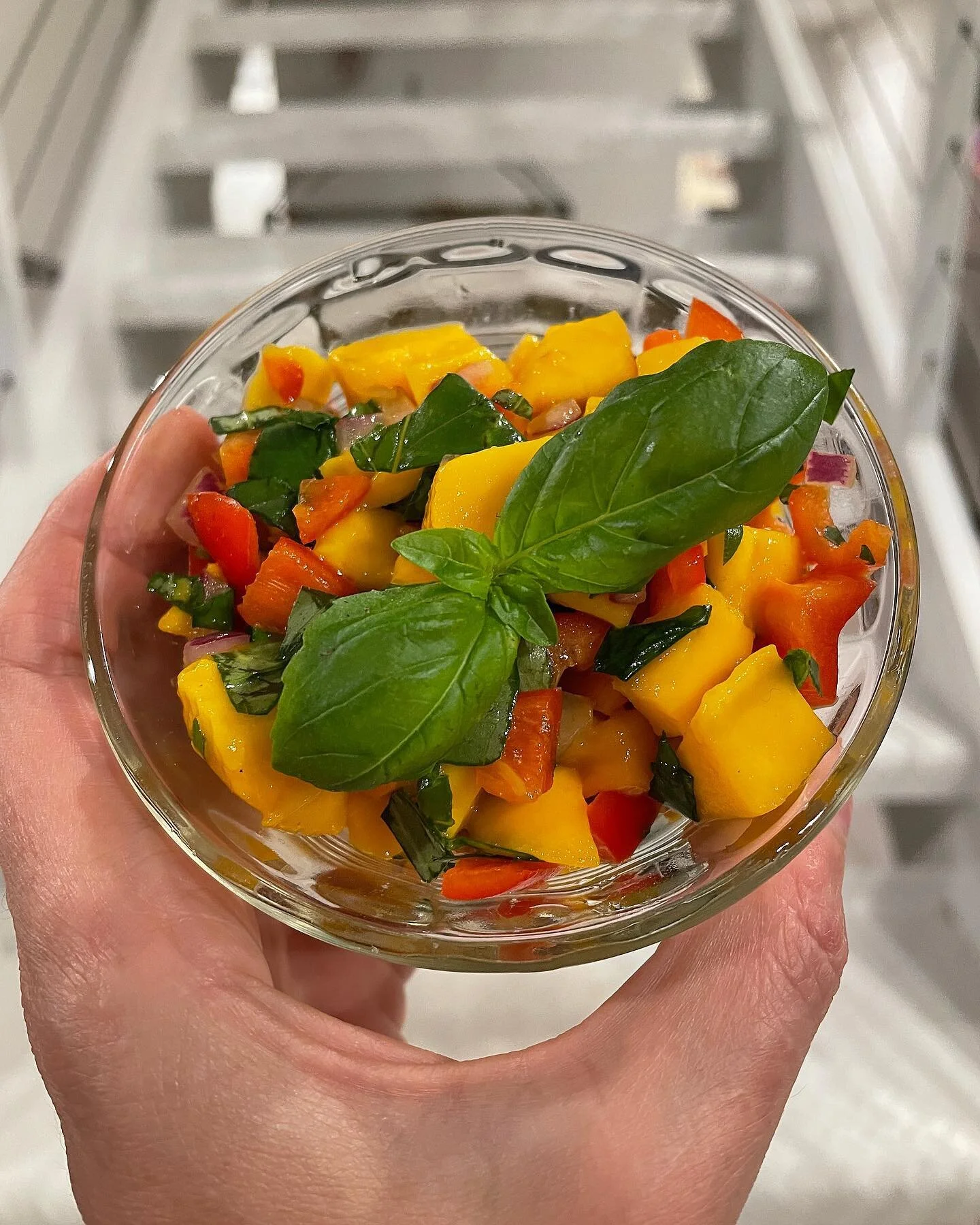 I made mango basil salsa with our new basil plant! 🥭🌶🌱

Can&rsquo;t wait to get a mint plant to see what I can do with it! 😁

#basil #herbgarden #mango #mangosalsa