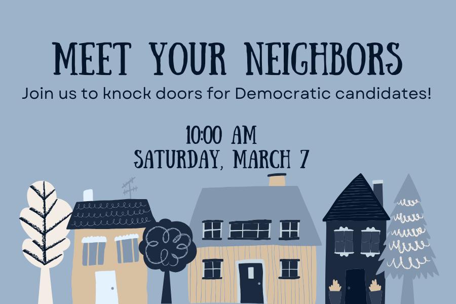 Door Knocking: Local Election