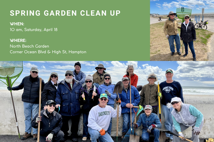 Spring Garden Cleanup