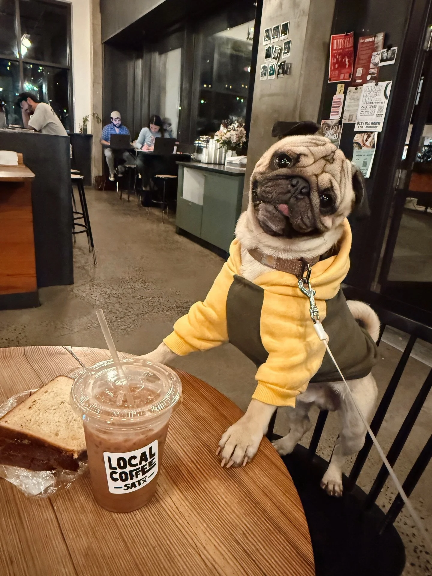 VERY IMPORTANT CONTENT. we save the best seats for the best customers (puppers) ((duh))