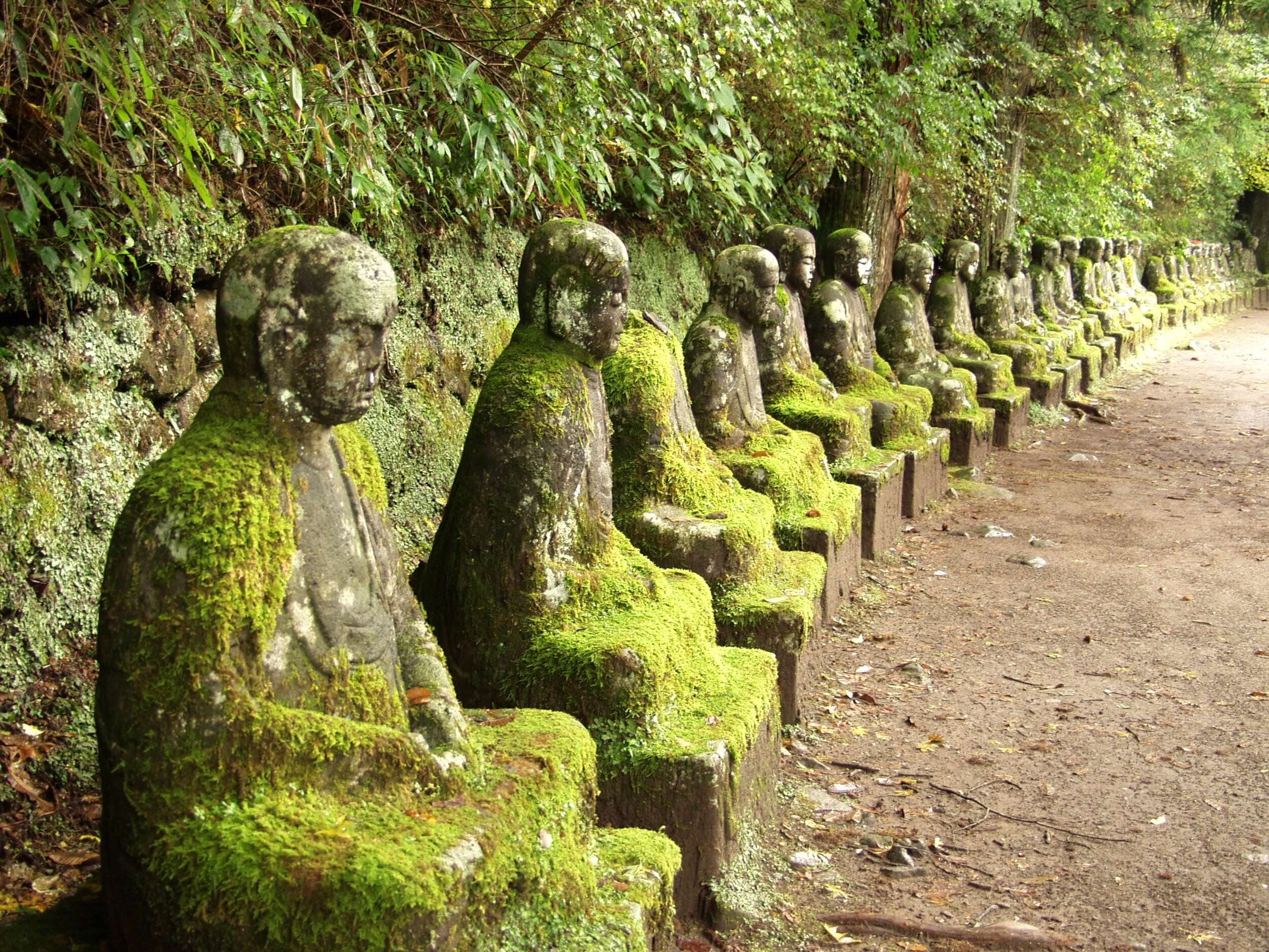 Meditating in Nikko, J....jpg