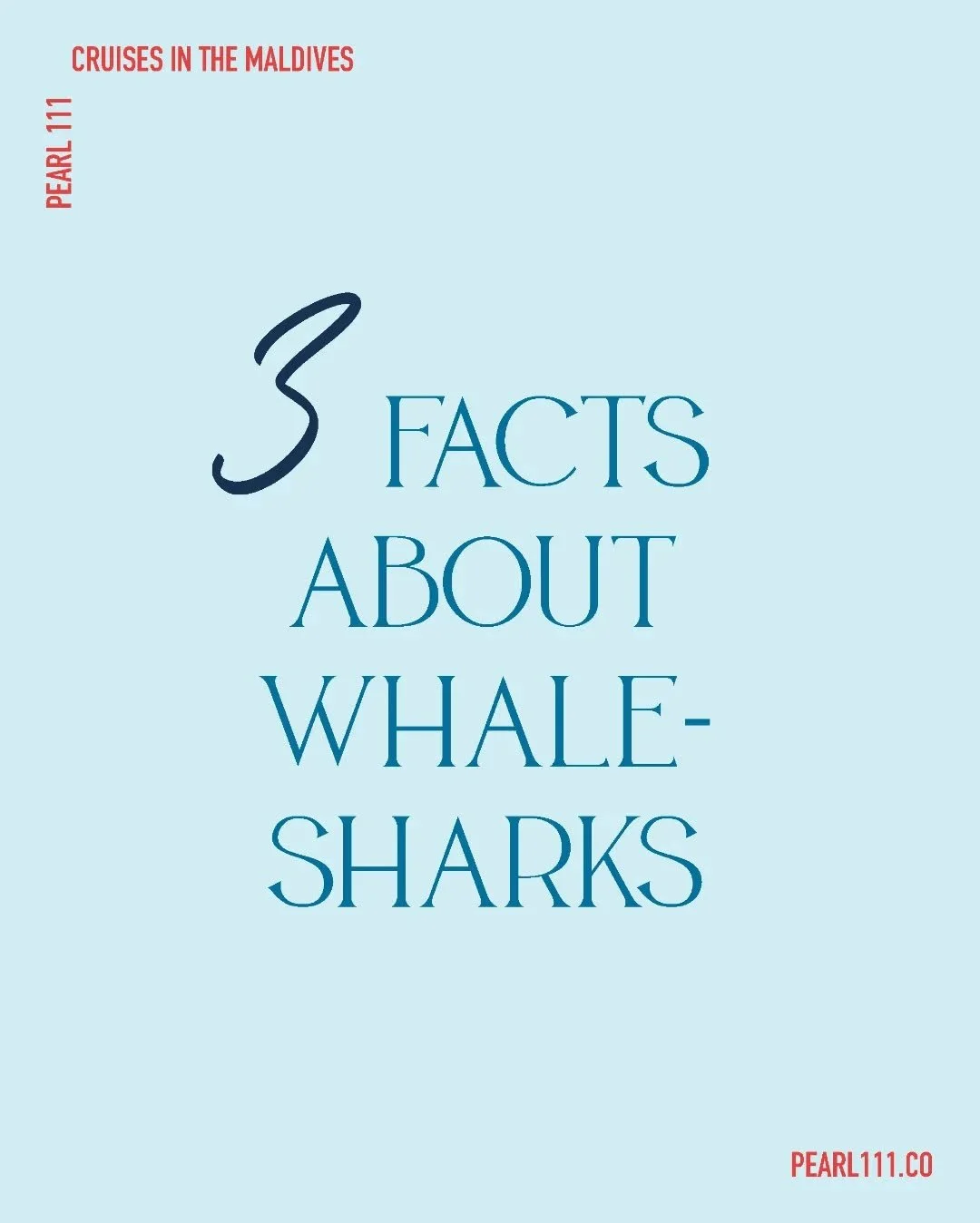 Here are some fun facts about whalesharks to know a little more about them before seeing one yourself during your next trip aboard Pearl 111 ⛵

Book your next trip 👉 www.pearl111.co 

#funfacts #oceanlovers #whaleshark #liveaboard #charteryacht #tra