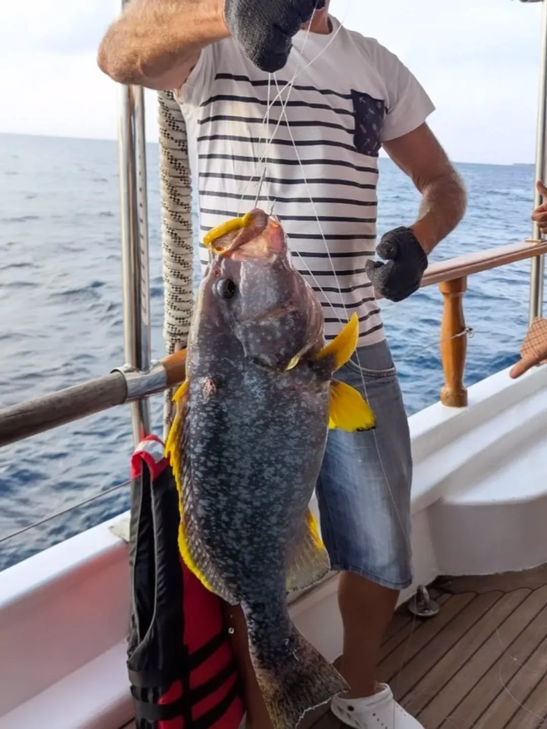 Catch oh the day ! 
And as the sun ease toward the horizon and the appetites stirre, Mithun our wonderful chef transformed it into a flavorful dish to end the day on the perfect note 🐟🍴

#liveaboard #yachtcharter #cruises #visitmaldives #grouptrave
