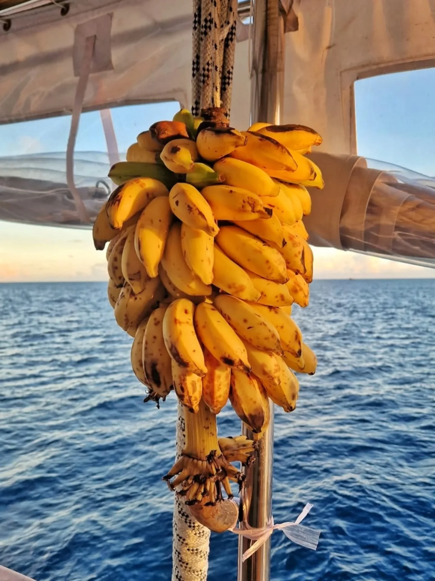 A day well spent on Pearl 111 ⛵

#liveaboard #yachtcharter #cruises #visitmaldives #grouptravel #bestdestinations #travelideas #snorkelingtrip #cruisetravel #cruiseaddict #pearl111